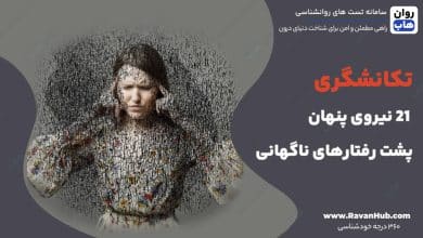 تکانشگری 21 نیروی پنهان پشت رفتارهای ناگهانی