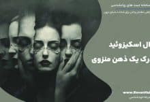 اختلال اسکیزوئید درک یک ذهن منزوی