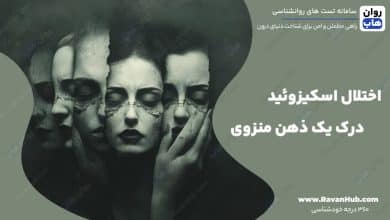 اختلال اسکیزوئید درک یک ذهن منزوی