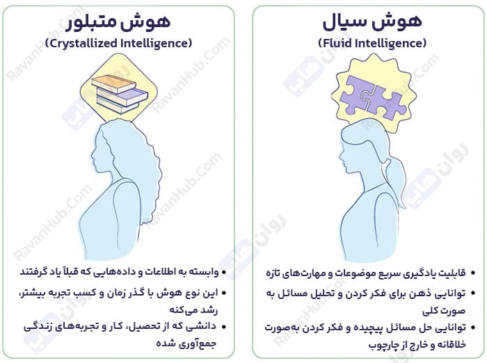تفاوت هوش سیال و متبلور