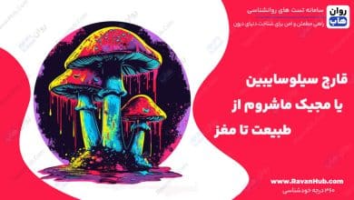 قارچ سیلوسایبین یا مجیک ماشروم از طبیعت تا مغز
