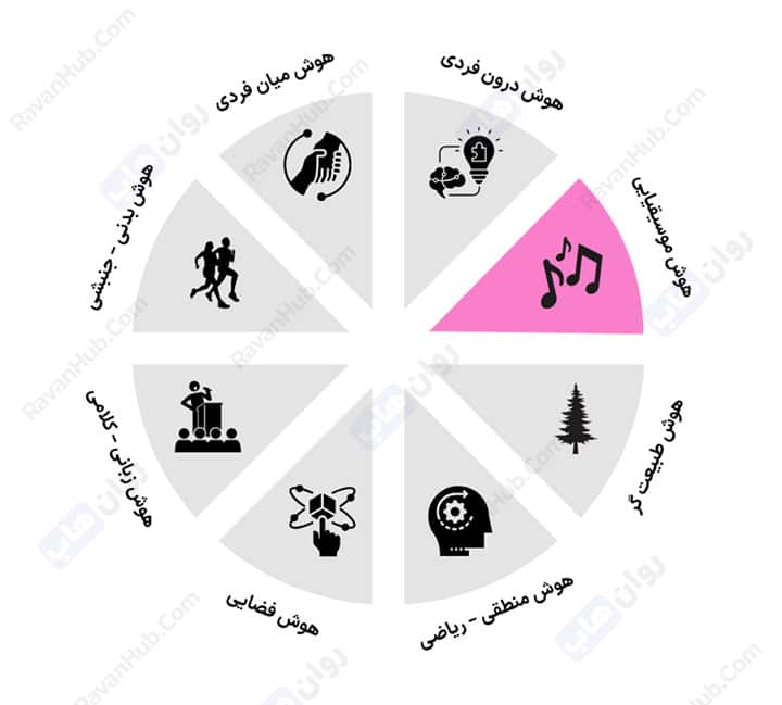 انواع هوش گاردنر