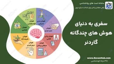 سفری به دنیای هوش های چندگانه گاردنر