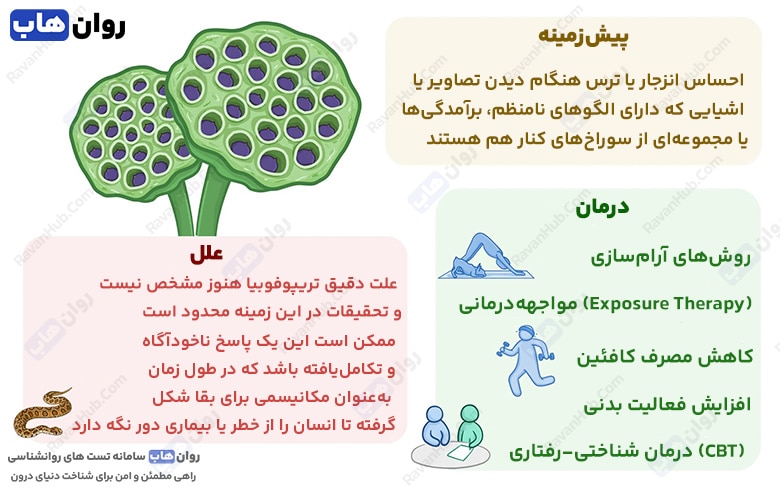 راز تریپوفوبیا چیست؟ بررسی علت ترس از سوراخ‌های ریز