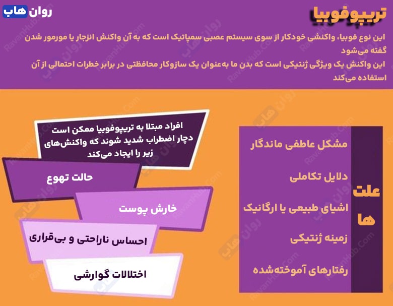 راز تریپوفوبیا چیست؟ بررسی علت ترس از سوراخ‌های ریز