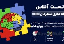 تست تسلط مغزی ندهرمان (HBDI)