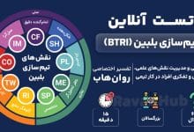 تست تیم‌سازی بلبین