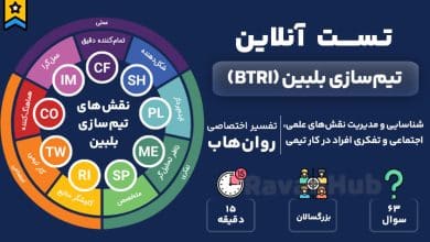 تست تیم‌سازی بلبین