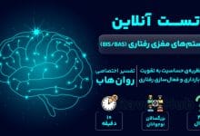 تست رایگان سیستم های مغزی رفتاری