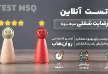 تست رضایت شغلی مینه سوتا