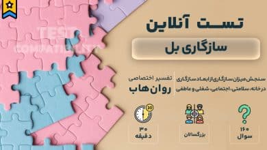 تست رایگان سازگاری بل