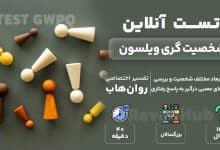 تست رایگان شخصیت گری ویلسون