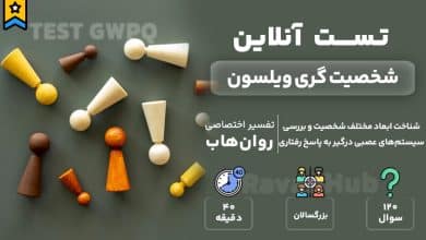 تست رایگان شخصیت گری ویلسون