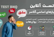 تست نیازهای اساسی گلاسر